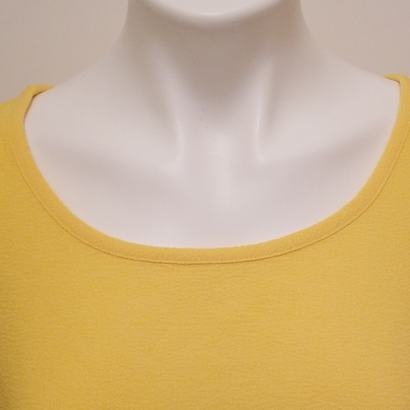 Linea by Louis Dell'Olio Gauze Crepe Tunic - Picture 6 of 6